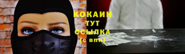 дживик Абаза