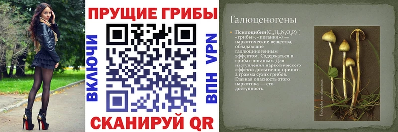 Псилоцибиновые грибы Cubensis  купить наркотики цена  Енисейск 